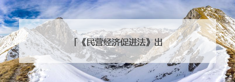 《民营经济促进法》出台后 张江有了新动作
