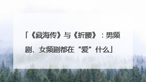 《藏海传》与《折腰》：男频剧、女频剧都在“爱”什么