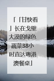 「甘快看」长在戈壁大漠的绿色蔬菜38小时直达粤港澳餐桌