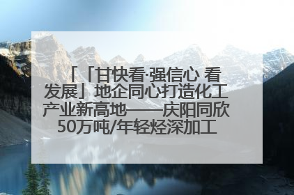 「甘快看·强信心 看发展」地企同心打造化工产业新高地——庆阳同欣50万吨/年轻烃深加工项目建设见闻