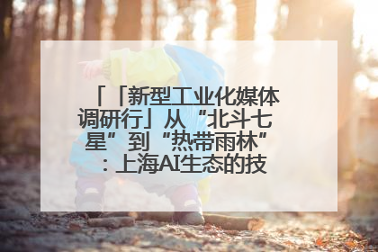「新型工业化媒体调研行」从“北斗七星”到“热带雨林”：上海AI生态的技术商业共生密码