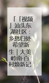 「视频」汕头东湖社区：乡愁归处 希望新生｜大美岭南·百村焕新记