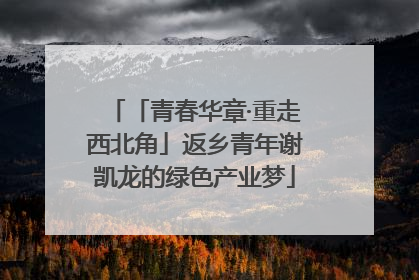 「青春华章·重走西北角」返乡青年谢凯龙的绿色产业梦