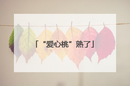 “爱心桃”熟了