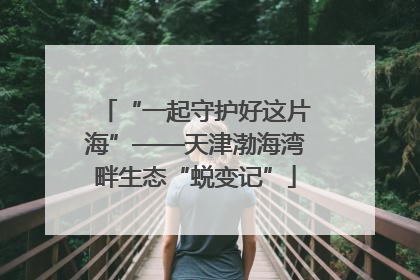 “一起守护好这片海”——天津渤海湾畔生态“蜕变记”