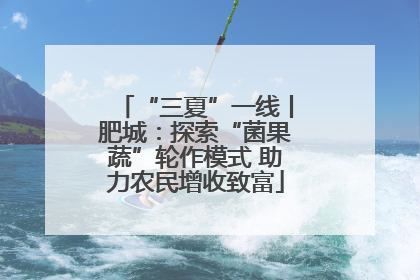 “三夏”一线丨肥城：探索“菌果蔬”轮作模式 助力农民增收致富