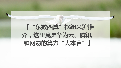“东数西算”枢纽来沪推介，这里竟是华为云、腾讯和网易的算力“大本营”