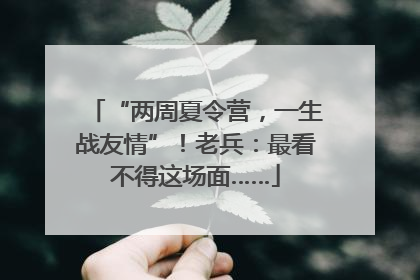 “两周夏令营，一生战友情”！老兵：最看不得这场面……