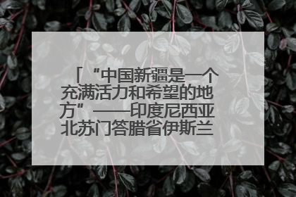“中国新疆是一个充满活力和希望的地方”——印度尼西亚北苏门答腊省伊斯兰教代表团参访新疆