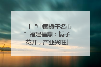 “中国栀子名市”福建福鼎：栀子花开，产业兴旺
