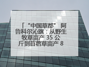 “中国草都” 阿鲁科尔沁旗：从野生牧草亩产 35 公斤到苜蓿草亩产 800 公斤以上
