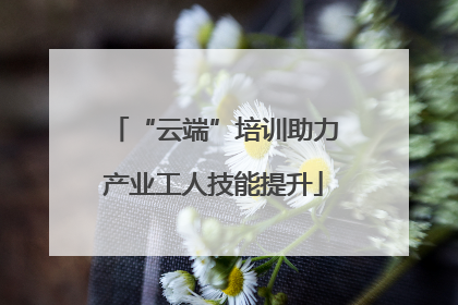 “云端”培训助力产业工人技能提升