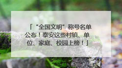 “全国文明”称号名单公布！泰安这些村镇、单位、家庭、校园上榜！