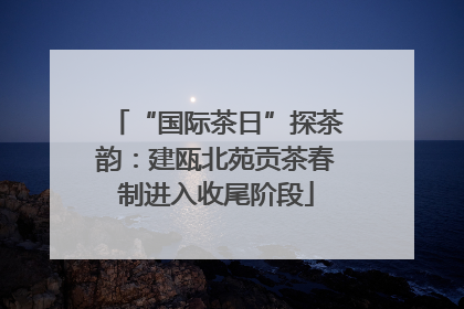 “国际茶日”探茶韵：建瓯北苑贡茶春制进入收尾阶段