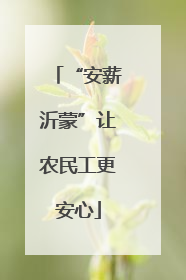 “安薪沂蒙”让农民工更安心