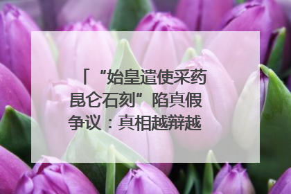 “始皇遣使采药昆仑石刻”陷真假争议：真相越辩越明｜新京报专栏