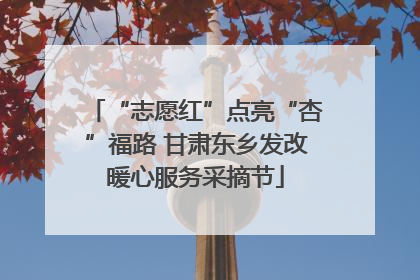 “志愿红”点亮“杏”福路 甘肃东乡发改暖心服务采摘节