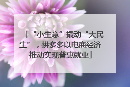 “小生意”撬动“大民生”，拼多多以电商经济推动实现普惠就业