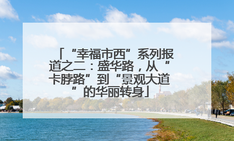 “幸福市西”系列报道之二：盛华路，从“卡脖路”到“景观大道”的华丽转身