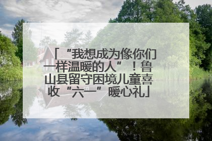 “我想成为像你们一样温暖的人”！鲁山县留守困境儿童喜收“六一”暖心礼