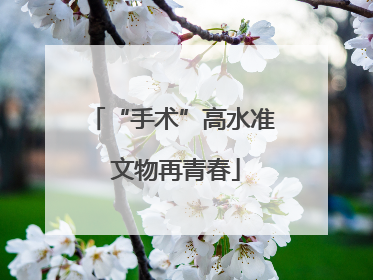“手术”高水准 文物再青春