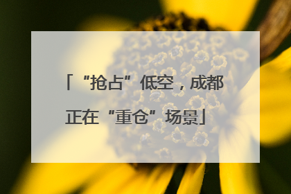“抢占”低空，成都正在“重仓”场景