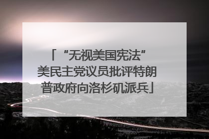 “无视美国宪法” 美民主党议员批评特朗普政府向洛杉矶派兵