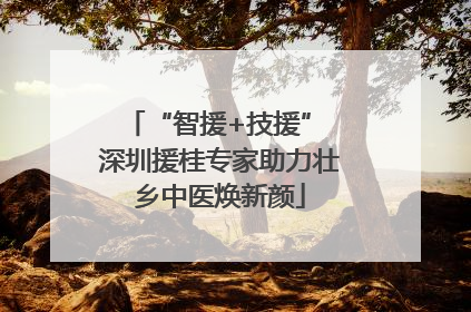 “智援+技援” 深圳援桂专家助力壮乡中医焕新颜