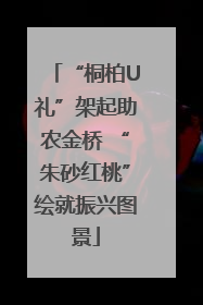 “桐柏U礼”架起助农金桥 “朱砂红桃”绘就振兴图景