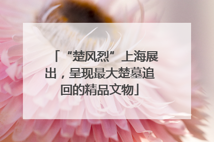 “楚风烈”上海展出，呈现最大楚墓追回的精品文物