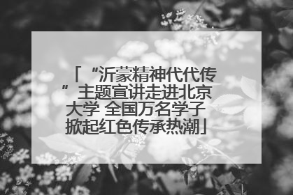 “沂蒙精神代代传”主题宣讲走进北京大学 全国万名学子掀起红色传承热潮