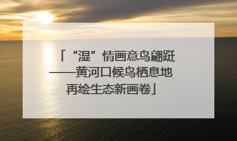 “湿”情画意鸟翩跹——黄河口候鸟栖息地再绘生态新画卷