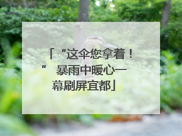 “这伞您拿着！” 暴雨中暖心一幕刷屏宜都
