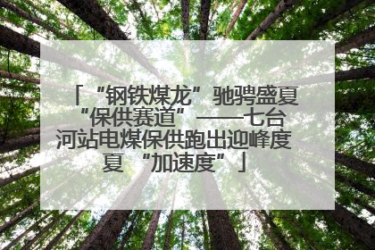 “钢铁煤龙”驰骋盛夏 “保供赛道”——七台河站电煤保供跑出迎峰度夏 “加速度”