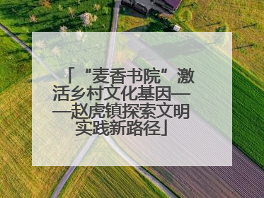 “麦香书院”激活乡村文化基因——赵虎镇探索文明实践新路径