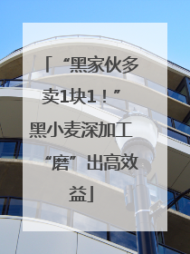 “黑家伙多卖1块1！”黑小麦深加工“磨”出高效益
