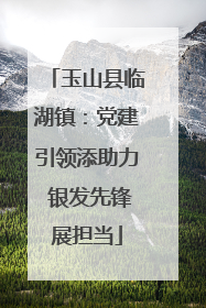 玉山县临湖镇：党建引领添助力 银发先锋展担当