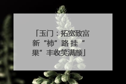 玉门：拓宽致富新“柿”路 挂“果”丰收笑满颜