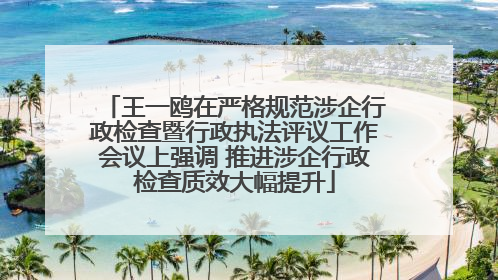 王一鸥在严格规范涉企行政检查暨行政执法评议工作会议上强调 推进涉企行政检查质效大幅提升