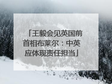 王毅会见英国前首相布莱尔：中英应体现责任担当