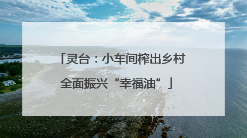 灵台：小车间榨出乡村全面振兴“幸福油”
