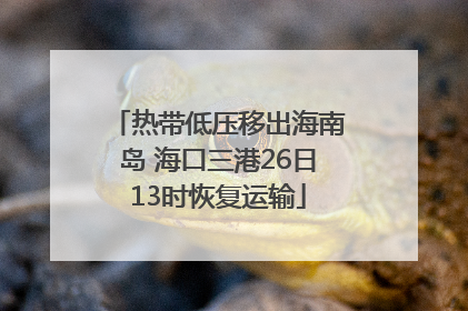 热带低压移出海南岛 海口三港26日13时恢复运输