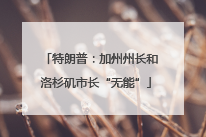 特朗普：加州州长和洛杉矶市长“无能”