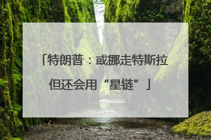 特朗普：或挪走特斯拉 但还会用“星链”