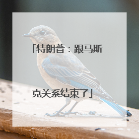 特朗普：跟马斯克关系结束了
