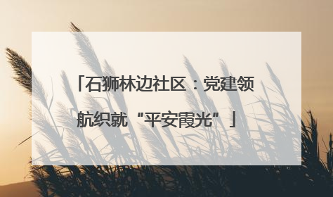 石狮林边社区：党建领航织就“平安霞光”
