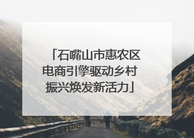 石嘴山市惠农区电商引擎驱动乡村振兴焕发新活力