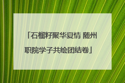 石榴籽聚华夏情 随州职院学子共绘团结卷