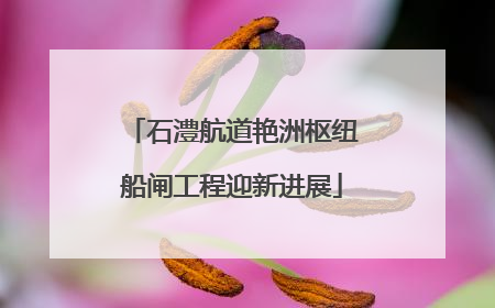 石澧航道艳洲枢纽船闸工程迎新进展