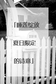 睡莲绽放 夏日限定的诗意